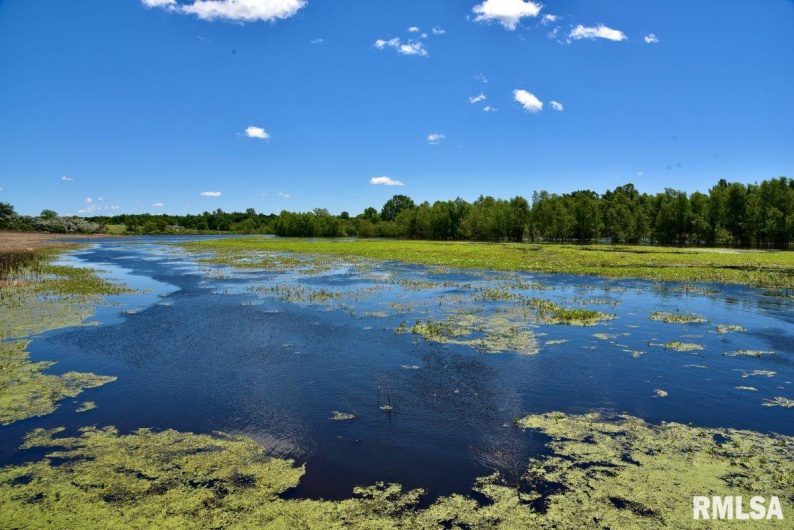 1501 DUNCAN Road, Carrier Mills, Illinois 62917, 4 Bedrooms Bedrooms, 0 ,0,Land,For Sale,DUNCAN,0,RMACA1036716