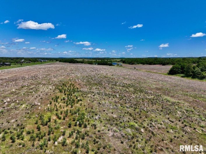 1501 DUNCAN Road, Carrier Mills, Illinois 62917, 4 Bedrooms Bedrooms, 0 ,0,Land,For Sale,DUNCAN,0,RMACA1036716