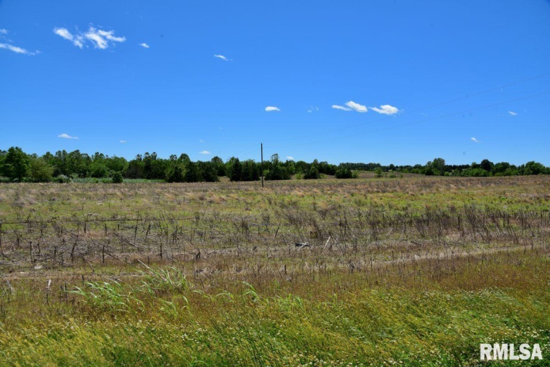 1501 DUNCAN Road, Carrier Mills, Illinois 62917, 4 Bedrooms Bedrooms, 0 ,0,Land,For Sale,DUNCAN,0,RMACA1036716