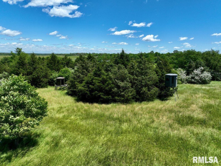 1501 DUNCAN Road, Carrier Mills, Illinois 62917, 4 Bedrooms Bedrooms, 0 ,0,Land,For Sale,DUNCAN,0,RMACA1036716