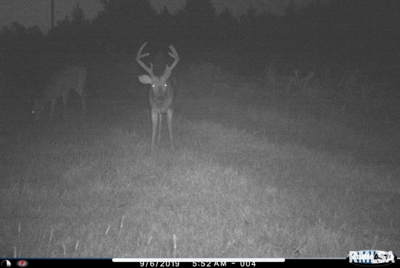 1501 DUNCAN Road, Carrier Mills, Illinois 62917, 4 Bedrooms Bedrooms, 0 ,0,Land,For Sale,DUNCAN,0,RMACA1036716