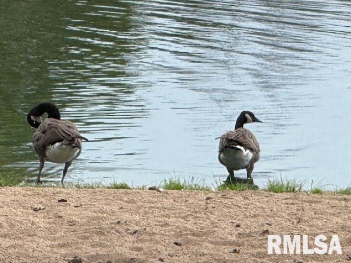 84 New Thompson Lake Road, Carbondale, Illinois 62901, 2 Bedrooms Bedrooms, 0 ,2 BathroomsBathrooms,Residential,For Sale,New Thompson Lake,0,RMAEB460161