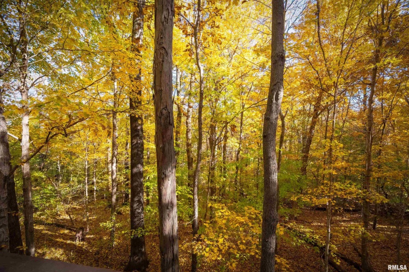 4648 Highway 127, Carbondale, Illinois 62903, 3 Bedrooms Bedrooms, 0 ,2 BathroomsBathrooms,Residential,For Sale,Highway 127,0,RMAEB460416