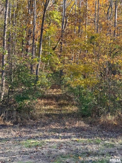 880 Rocky Comfort Road, Makanda, Illinois 62958, 1 Bedroom Bedrooms, 0 ,1 BathroomBathrooms,Residential,For Sale,Rocky Comfort,0,RMAQC4269208