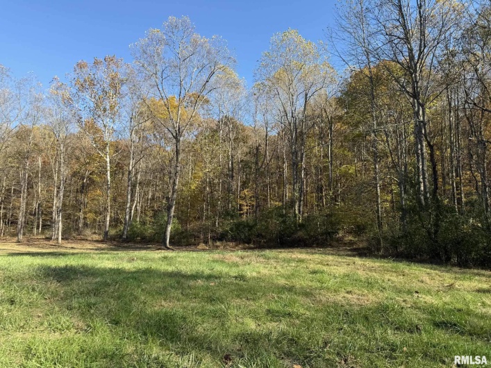 880 Rocky Comfort Road, Makanda, Illinois 62958, 1 Bedroom Bedrooms, 0 ,1 BathroomBathrooms,Residential,For Sale,Rocky Comfort,0,RMAQC4269208