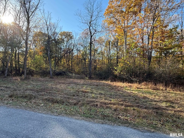 880 Rocky Comfort Road, Makanda, Illinois 62958, 1 Bedroom Bedrooms, 0 ,1 BathroomBathrooms,Residential,For Sale,Rocky Comfort,0,RMAQC4269208