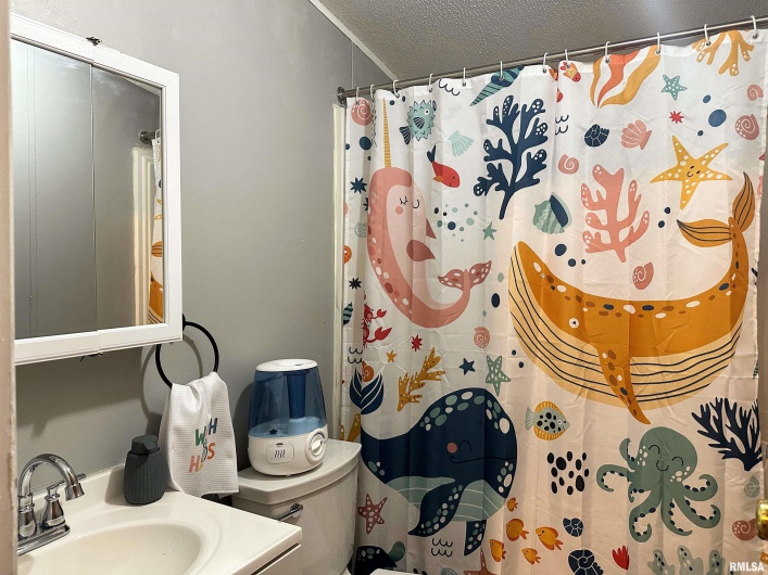 65 Payne Drive, Goreville, Illinois 62939, 4 Bedrooms Bedrooms, 0 ,3 BathroomsBathrooms,Residential,For Sale,Payne,0,RMAEB459963