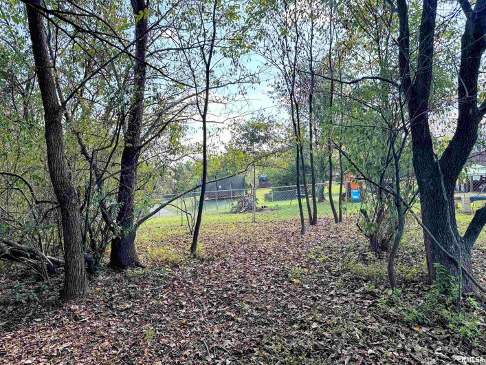 65 Payne Drive, Goreville, Illinois 62939, 4 Bedrooms Bedrooms, 0 ,3 BathroomsBathrooms,Residential,For Sale,Payne,0,RMAEB459963