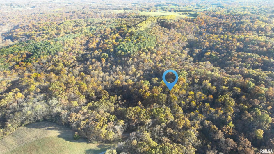 1924 Suchman Road, Ava, Illinois 62907, 0 , 0 ,0,Land,For Sale,Suchman,0,RMAEB460427