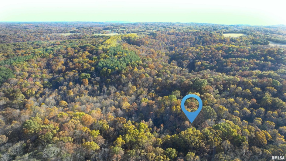 1924 Suchman Road, Ava, Illinois 62907, 0 , 0 ,0,Land,For Sale,Suchman,0,RMAEB460427