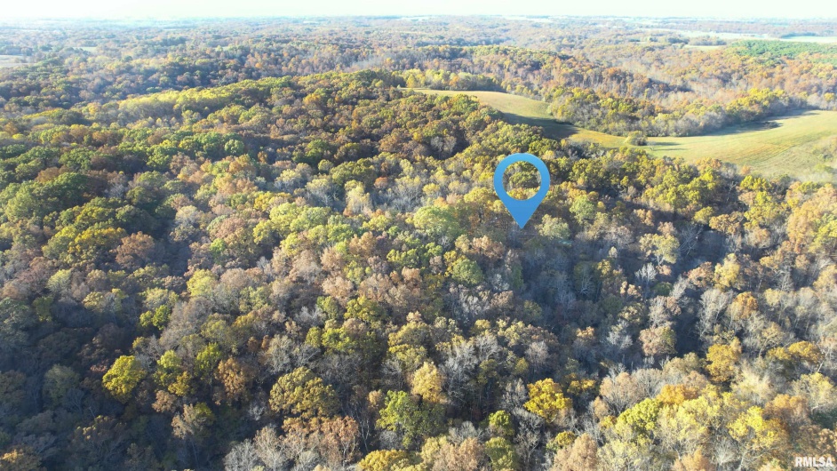 1924 Suchman Road, Ava, Illinois 62907, 0 , 0 ,0,Land,For Sale,Suchman,0,RMAEB460427