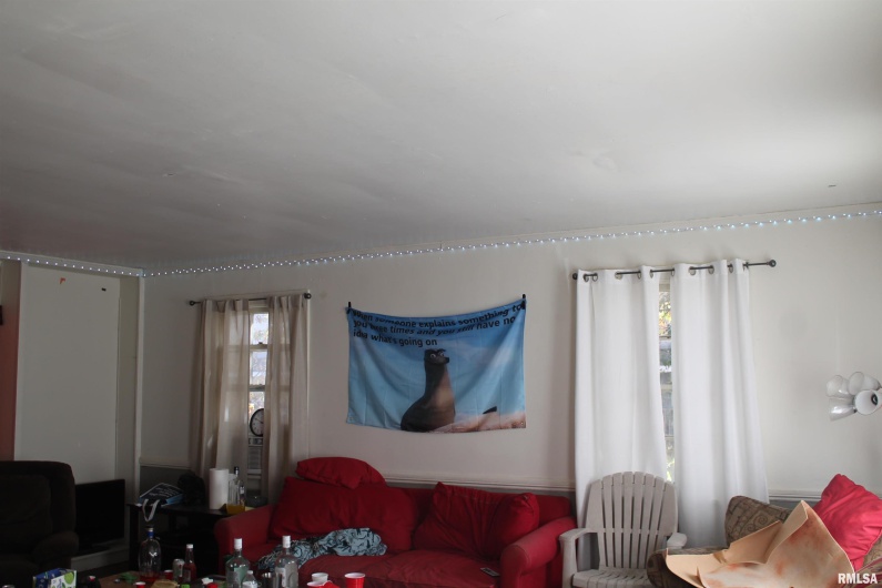 502 Freeman Street, Carbondale, Illinois 62901, 0 , 0 ,0,Residential Income,For Sale,Freeman,0,RMAEB460431