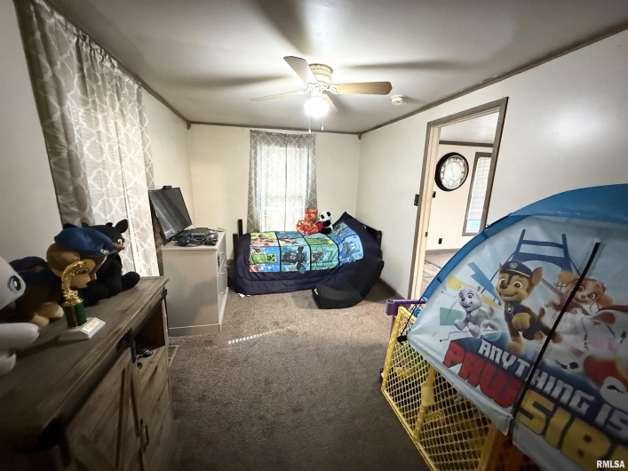 116 WILSON Street, Hurst, Illinois 62949, 2 Bedrooms Bedrooms, 0 ,1 BathroomBathrooms,Residential,For Sale,WILSON,0,RMAEB460430