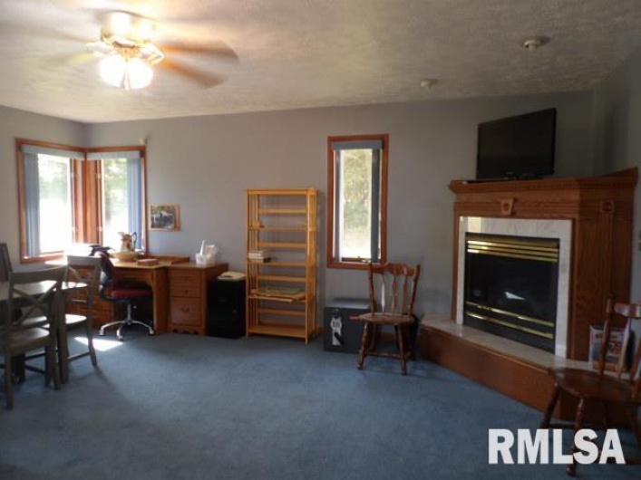 736 MILL Street, Carrier Mills, Illinois 62917, 3 Bedrooms Bedrooms, 0 ,4 BathroomsBathrooms,Residential,For Sale,MILL,0,RMAEB459487