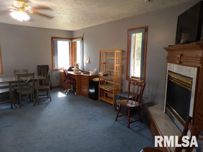 736 MILL Street, Carrier Mills, Illinois 62917, 3 Bedrooms Bedrooms, 0 ,4 BathroomsBathrooms,Residential,For Sale,MILL,0,RMAEB459487