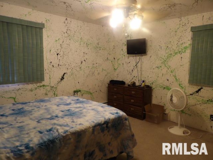 736 MILL Street, Carrier Mills, Illinois 62917, 3 Bedrooms Bedrooms, 0 ,4 BathroomsBathrooms,Residential,For Sale,MILL,0,RMAEB459487