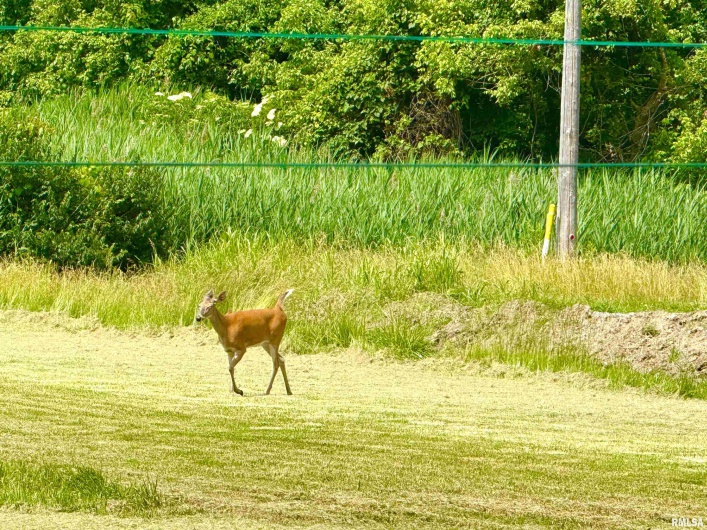401 7TH Street, Herrin, Illinois 62948, 5 Bedrooms Bedrooms, 0 ,3 BathroomsBathrooms,Residential,For Sale,7TH,0,RMAEB458582