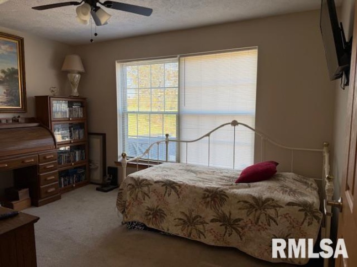 22145 Old Delta Mine Road, Marion, Illinois 62959, 3 Bedrooms Bedrooms, 0 ,2 BathroomsBathrooms,Residential,For Sale,Old Delta Mine,0,RMAEB460442