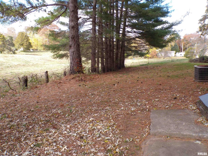 331 MINNIE Avenue, Tilden, Illinois 62292, 2 Bedrooms Bedrooms, 0 ,1 BathroomBathrooms,Residential,For Sale,MINNIE,0,RMAEB460454