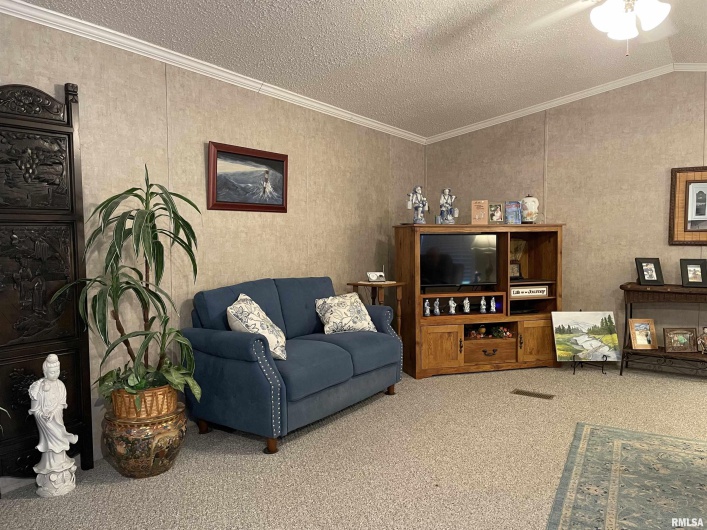 557 TWIN OAKS Drive, Cobden, Illinois 62920, 3 Bedrooms Bedrooms, 0 ,2 BathroomsBathrooms,Residential,For Sale,TWIN OAKS,0,RMAEB460456