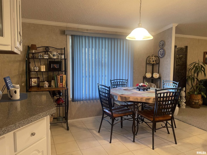 557 TWIN OAKS Drive, Cobden, Illinois 62920, 3 Bedrooms Bedrooms, 0 ,2 BathroomsBathrooms,Residential,For Sale,TWIN OAKS,0,RMAEB460456