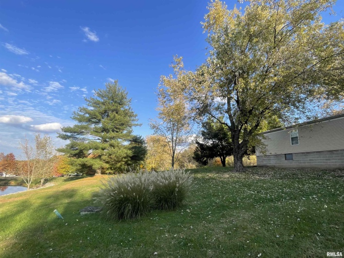 557 TWIN OAKS Drive, Cobden, Illinois 62920, 3 Bedrooms Bedrooms, 0 ,2 BathroomsBathrooms,Residential,For Sale,TWIN OAKS,0,RMAEB460456