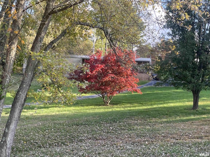 557 TWIN OAKS Drive, Cobden, Illinois 62920, 3 Bedrooms Bedrooms, 0 ,2 BathroomsBathrooms,Residential,For Sale,TWIN OAKS,0,RMAEB460456