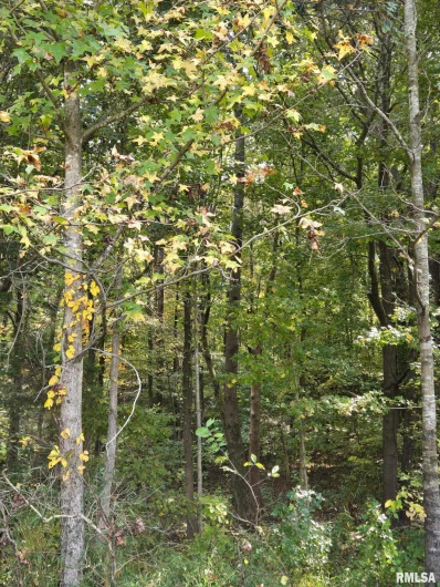 2174 Highway 1, Elizabethtown, Illinois 62931, 0 , 0 ,0,Land,For Sale,Highway 1,0,RMAEB460458