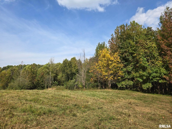 2174 Highway 1, Elizabethtown, Illinois 62931, 0 , 0 ,0,Land,For Sale,Highway 1,0,RMAEB460458