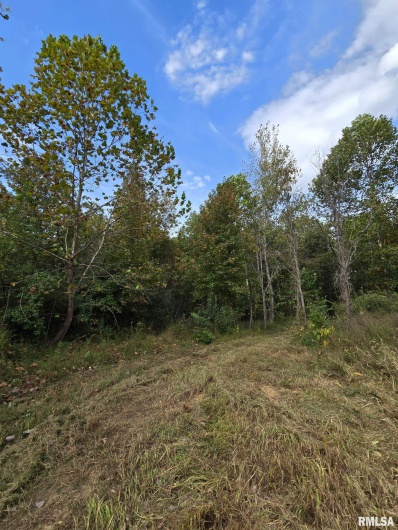 2174 Highway 1, Elizabethtown, Illinois 62931, 0 , 0 ,0,Land,For Sale,Highway 1,0,RMAEB460458