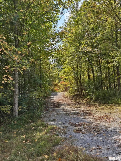 2174 Highway 1, Elizabethtown, Illinois 62931, 0 , 0 ,0,Land,For Sale,Highway 1,0,RMAEB460458