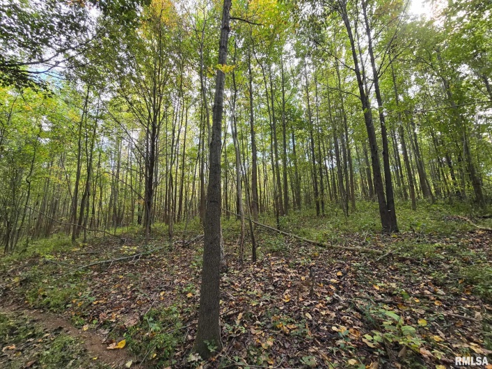 2174 Highway 1, Elizabethtown, Illinois 62931, 0 , 0 ,0,Land,For Sale,Highway 1,0,RMAEB460458