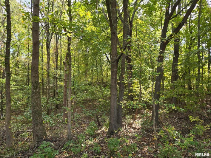 2174 Highway 1, Elizabethtown, Illinois 62931, 0 , 0 ,0,Land,For Sale,Highway 1,0,RMAEB460458