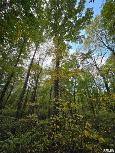 2174 Highway 1, Elizabethtown, Illinois 62931, 0 , 0 ,0,Land,For Sale,Highway 1,0,RMAEB460458