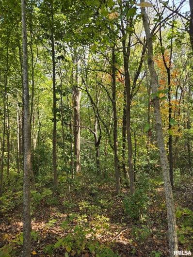 2174 Highway 1, Elizabethtown, Illinois 62931, 0 , 0 ,0,Land,For Sale,Highway 1,0,RMAEB460458