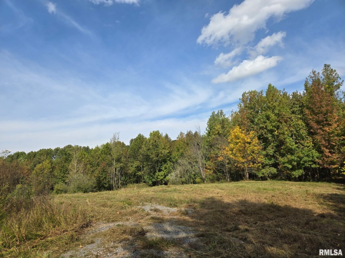 2174 Highway 1, Elizabethtown, Illinois 62931, 0 , 0 ,0,Land,For Sale,Highway 1,0,RMAEB460458