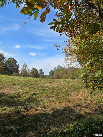 2174 Highway 1, Elizabethtown, Illinois 62931, 0 , 0 ,0,Land,For Sale,Highway 1,0,RMAEB460458