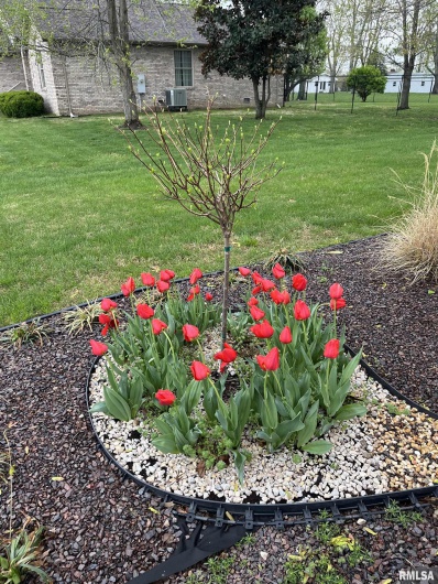 202 Dinah Lane, Marion, Illinois 62959, 3 Bedrooms Bedrooms, 0 ,2 BathroomsBathrooms,Residential,For Sale,Dinah,0,RMAQC4269361