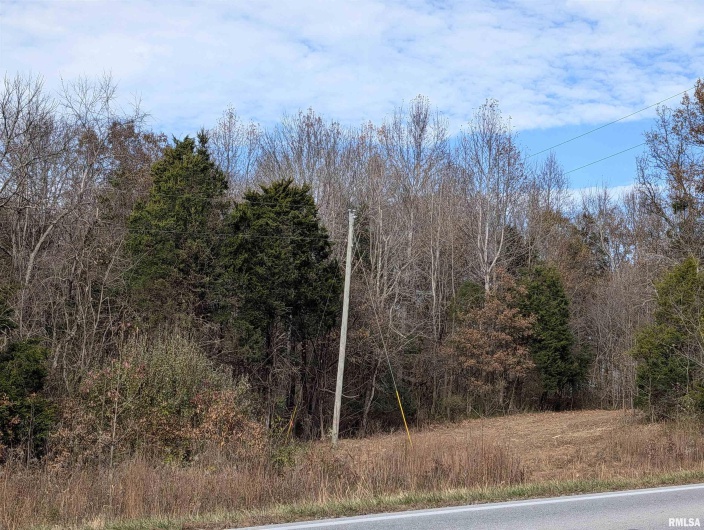 0000 State Highway 145 N Highway, Stonefort, Illinois 62987, 0 , 0 ,0,Land,For Sale,State Highway 145 N,0,RMAQC4269381