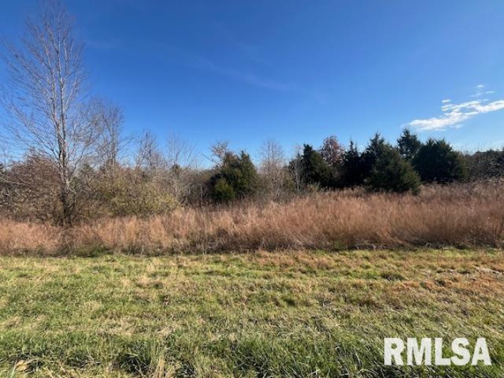 Lot 16 PINTAIL Lane, Creal Springs, Illinois 62922, 0 , 0 ,0,Land,For Sale,PINTAIL,0,RMAEB460488