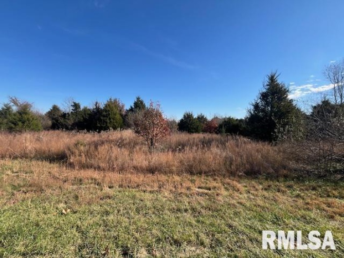 Lot 16 PINTAIL Lane, Creal Springs, Illinois 62922, 0 , 0 ,0,Land,For Sale,PINTAIL,0,RMAEB460488