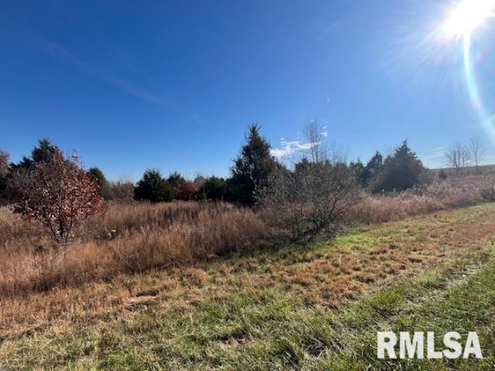 Lot 16 PINTAIL Lane, Creal Springs, Illinois 62922, 0 , 0 ,0,Land,For Sale,PINTAIL,0,RMAEB460488