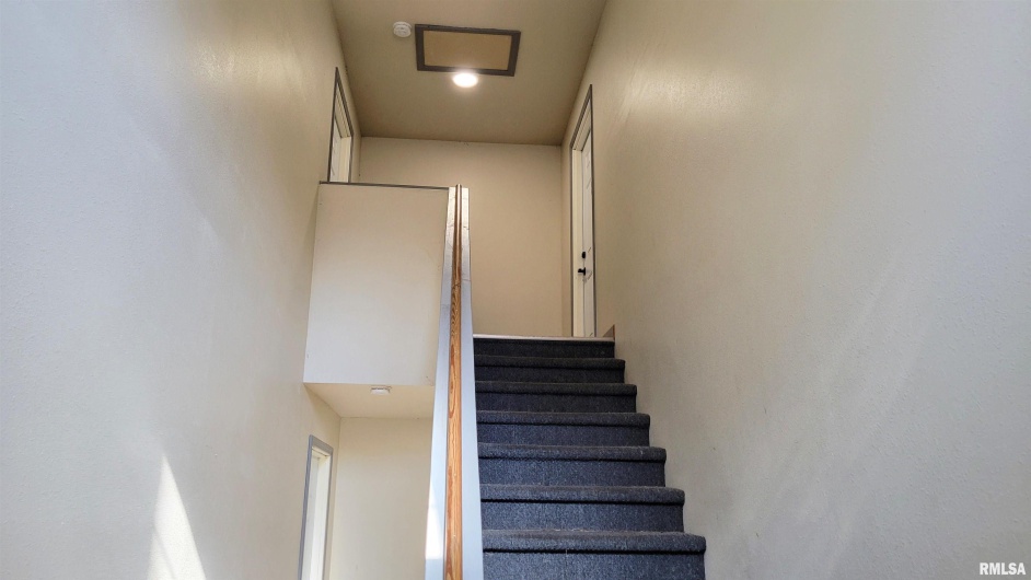 411 HESTER Street, Carbondale, Illinois 62901, 0 , 0 ,0,Residential Income,For Sale,HESTER,0,RMAEB460491