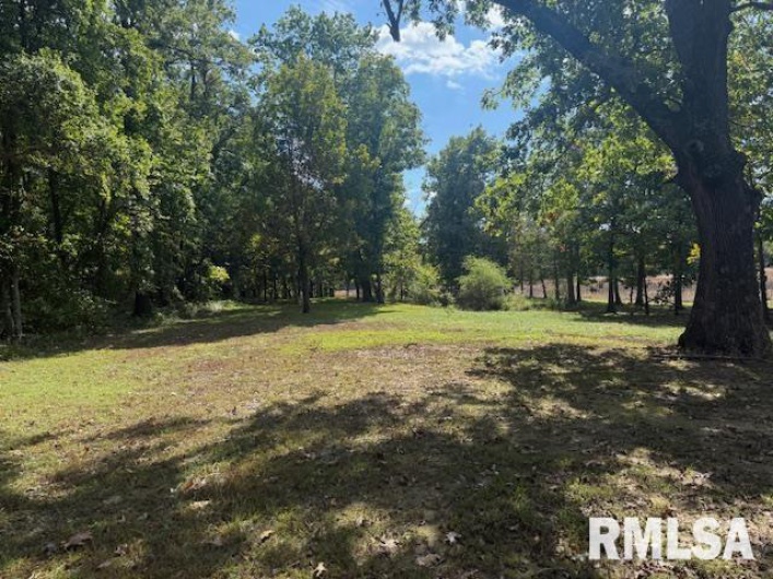 10843 Illinois Steel Road, Johnston City, Illinois 62951, 2 Bedrooms Bedrooms, 0 ,2 BathroomsBathrooms,Residential,For Sale,Illinois Steel,0,RMAEB460055