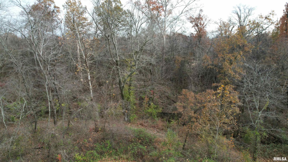 208 Dewmaine Road, Carterville, Illinois 62918, 0 , 0 ,0,Land,For Sale,Dewmaine,0,RMAEB460495