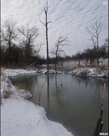 208 Dewmaine Road, Carterville, Illinois 62918, 0 , 0 ,0,Land,For Sale,Dewmaine,0,RMAEB460495