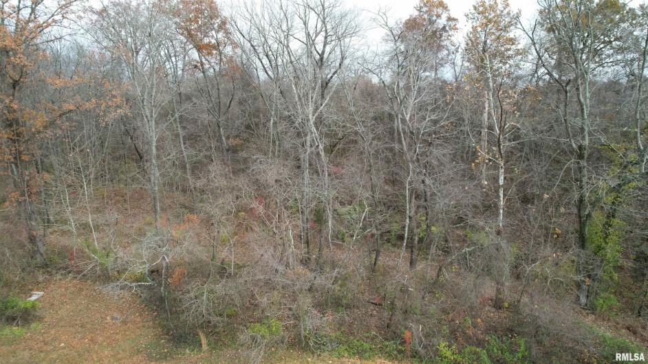 208 Dewmaine Road, Carterville, Illinois 62918, 0 , 0 ,0,Land,For Sale,Dewmaine,0,RMAEB460495