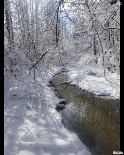 208 Dewmaine Road, Carterville, Illinois 62918, 0 , 0 ,0,Land,For Sale,Dewmaine,0,RMAEB460495