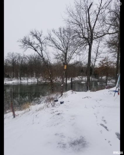 208 Dewmaine Road, Carterville, Illinois 62918, 0 , 0 ,0,Land,For Sale,Dewmaine,0,RMAEB460495