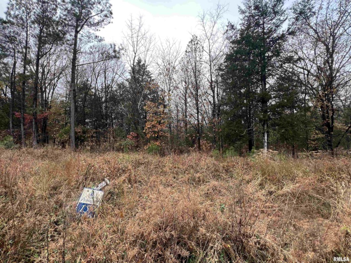 Lot 157 Parrish Ridge Lane, Goreville, Illinois 62939, 0 , 0 ,0,Land,For Sale,Parrish Ridge,0,RMAEB460514